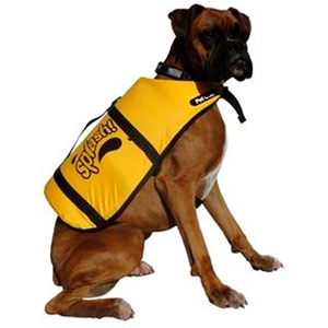 dog in lifejacket