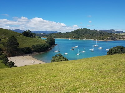 clean NZ environment