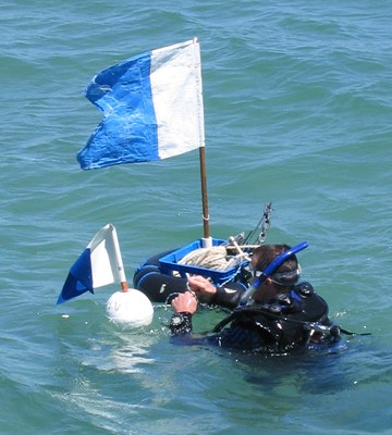 A diver with a dive flag