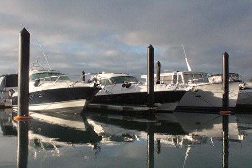 boats in marina