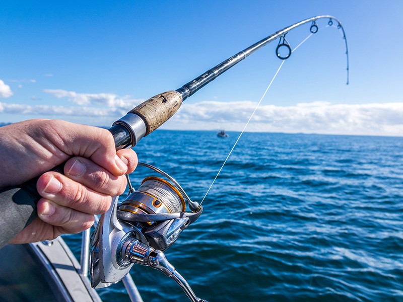 SoftBait Reels, Discount Fishing Supplies